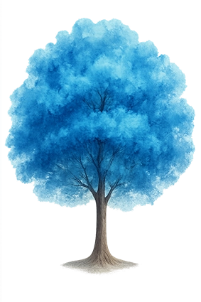 درخت-دانش-چاپکو copy